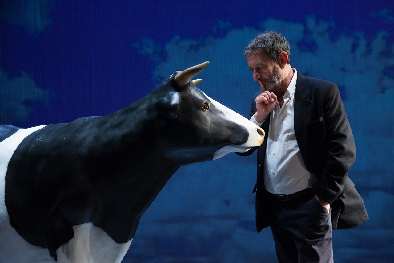 Immagine per L'amaca di Michele Serra arriva a Gradisca, una rubrica lunga 27 anni